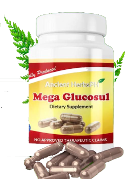 MEGA GLUCOSUL